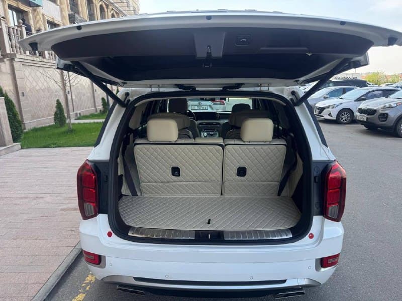 Hyundai Palisade VIP
