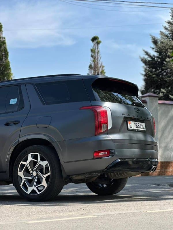 Hyundai Palisade Calligraphy